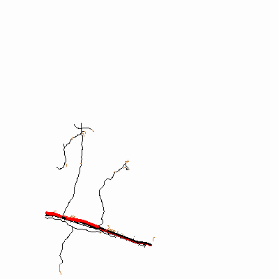 Export Image