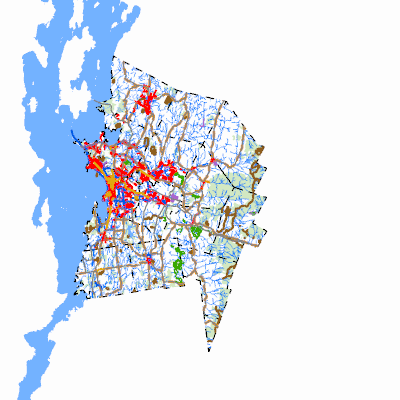 Export Image