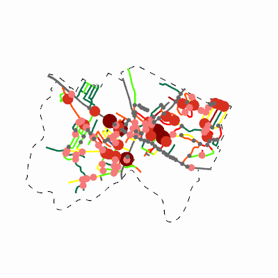 Export Image