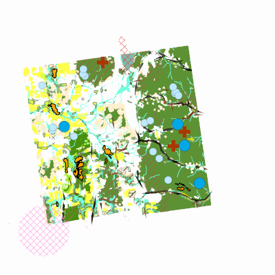 Export Image