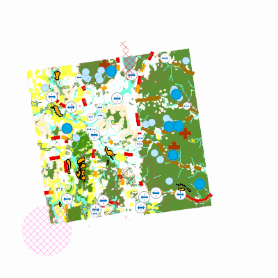 Export Image