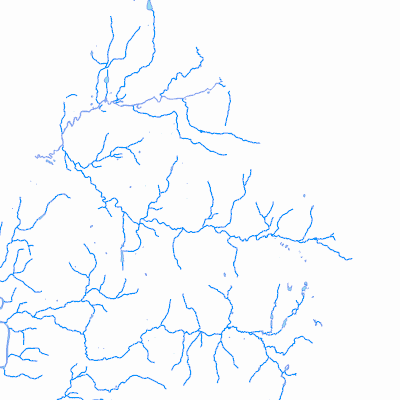 Export Image