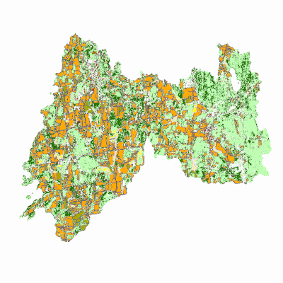 Export Image