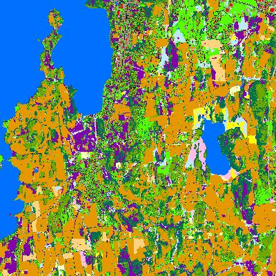 Export Image