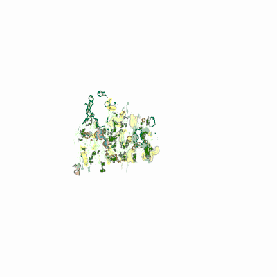 Export Image